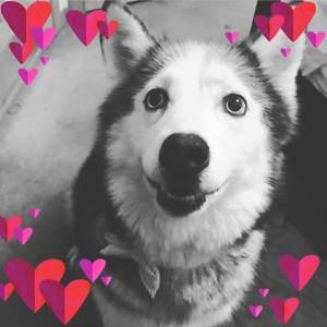 Meet your Posher, Bethany